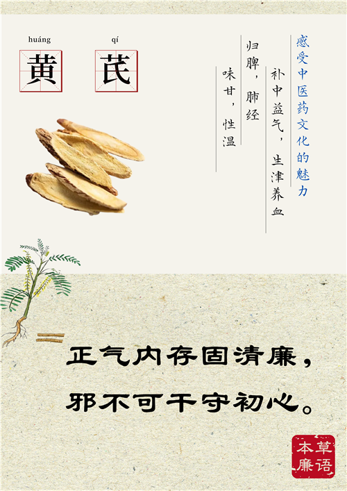 BP58-3.本草廉語-黃芪.png